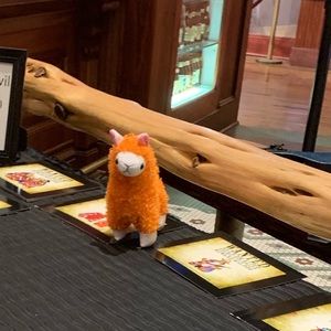 Meet your Posher, Gabi